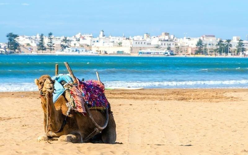 Appartement Essaouira Proche De La Mer 외부 사진
