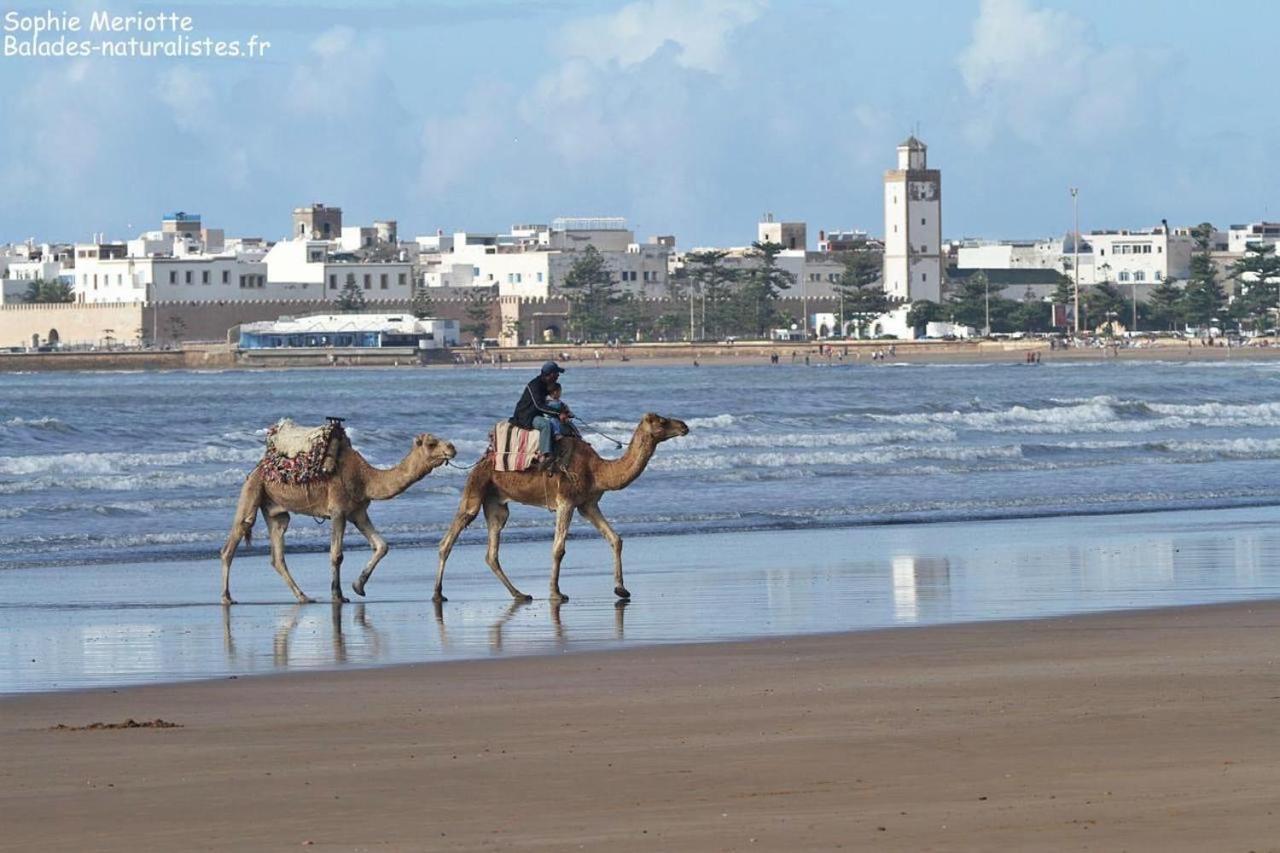 Appartement Essaouira Proche De La Mer 외부 사진